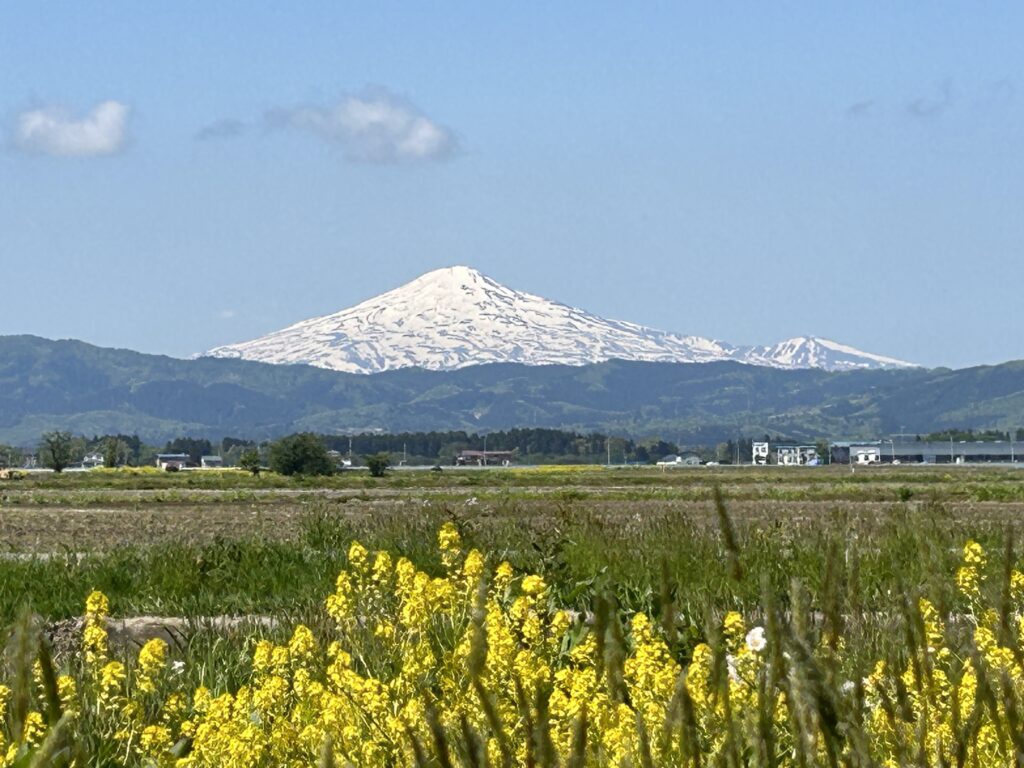 鳥海山春